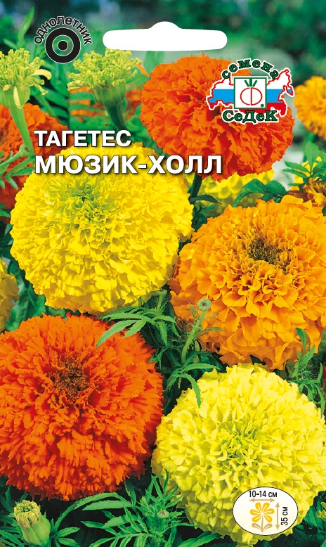 Семена цветов - Тагетес Мюзик-Холл 0,1 г - 2 пакета