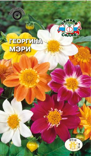 Семена цветов - Георгина Мэри (смесь цветов) 0,15 г - 2 пакета