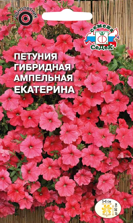 Семена цветов - Петуния Екатерина F1 5 шт - 2 пакета