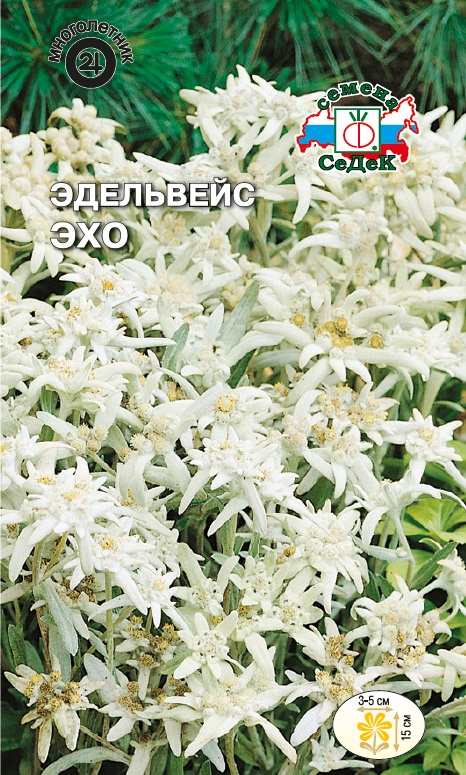 Семена цветов - Эдельвейс Эхо 0,05 г - 2 пакета