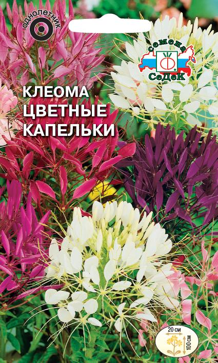 Семена цветов - Клеома Цветные Капельки 0,2 г - 2 пакета