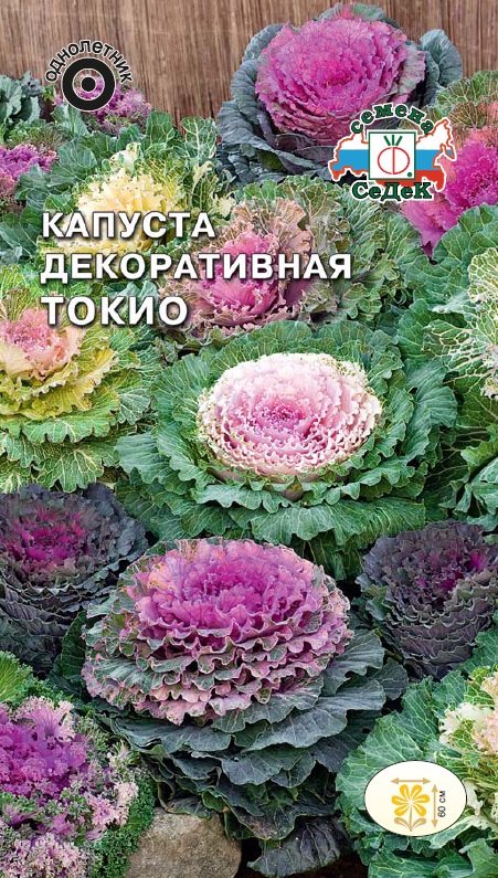 Семена цветов - Капуста Токио 0,1 г - 2 пакета