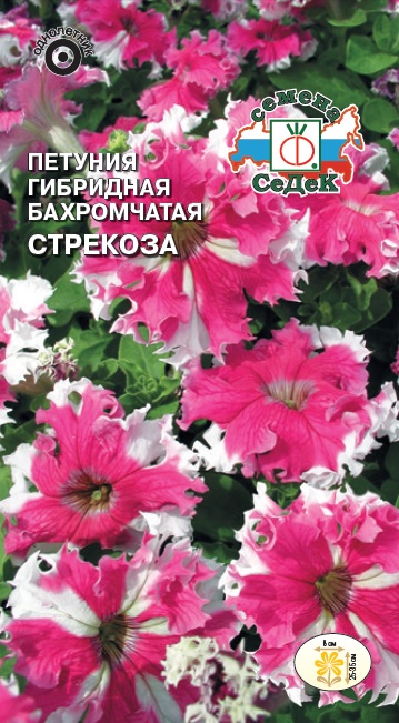 Семена цветов - Петуния Стрекоза F1 10 шт - 2 пакета